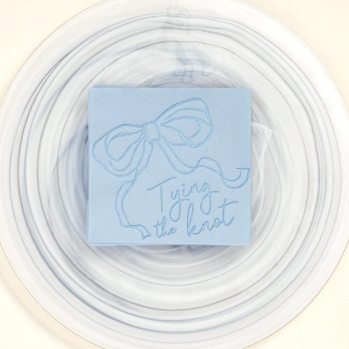 Blue "Tying the Knot" Bridal Shower Cocktail Size Napkins with Bow Design: Pack of 20