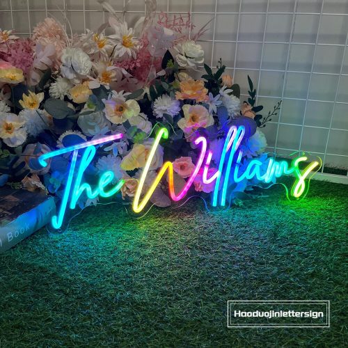 Custom Rainbow Wedding "The Last Name" Neon Sign